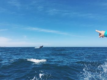 Scenic view of whale against sky