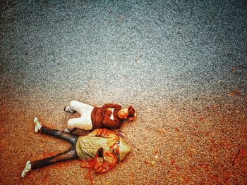 High angle view of stuffed toy on street