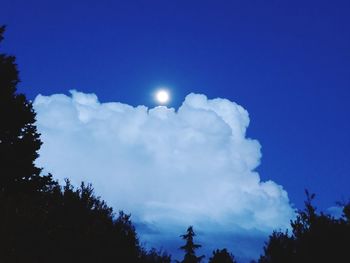 Low angle view of silhouette trees against blue sky