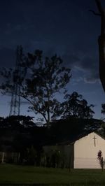 tree