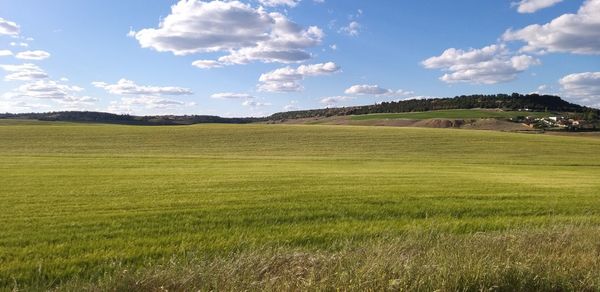 Scenic view of field against sky