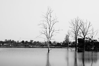 Scenic view of lake against clear sky