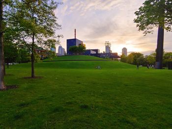 View of park with buildings in background