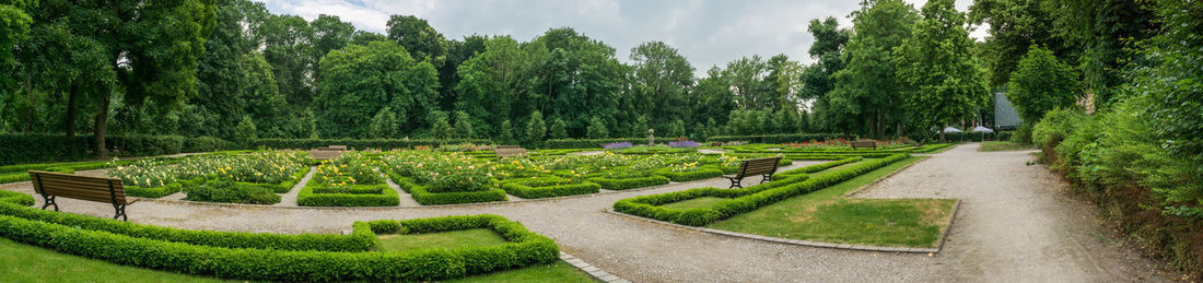 Panoramic view of garden