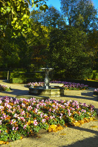 Pond in park