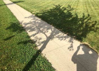 Diminishing perspective of footpath amidst grassy field in park