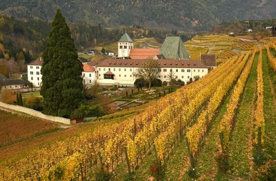 Scenic view of agricultural field by houses and trees