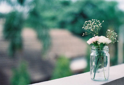 Close-up of flowers in vase on window sill