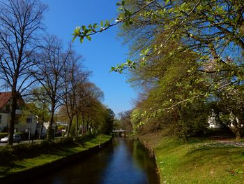 Scenic view of trees against clear sky