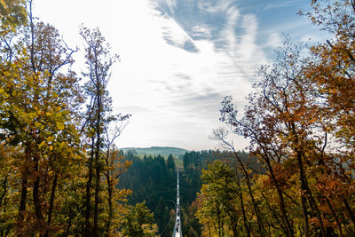 Scenic view of forest against sky during autumn