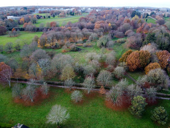 View of trees on landscape