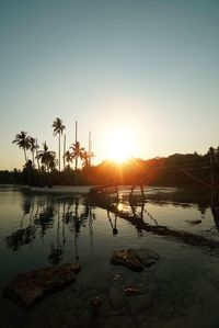 Silhouette palm trees against sky during sunset