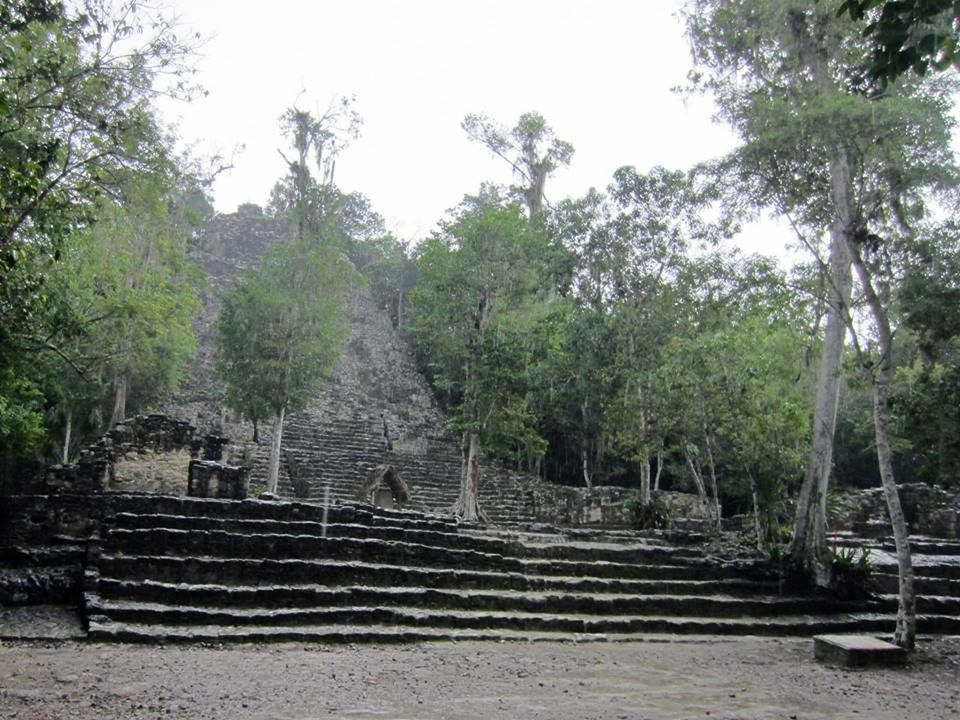 STEPS LEADING TOWARDS STAIRCASE