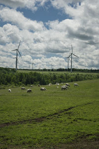Wind turbines on landscape