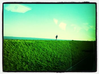 Scenic view of grassy field against blue sky