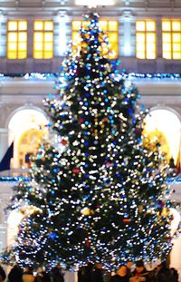 Close-up of illuminated christmas tree at night