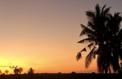 Silhouette palm trees against clear sky during sunset