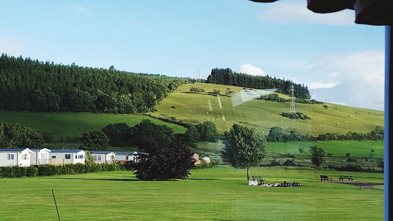 tree, grass, golf course, green color, golf, landscape, field, house, beauty in nature, nature, tranquility, day, built structure, outdoors, sky, tranquil scene, building exterior, green - golf course, scenics, no people, architecture, growth, clear sky, golfer