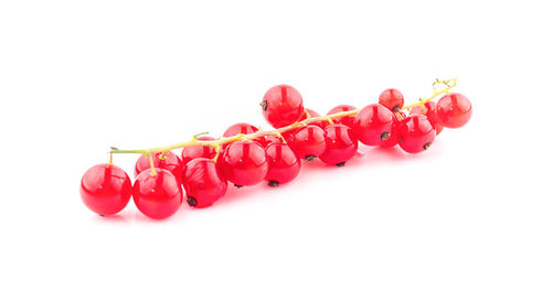 Close-up of red berries against white background