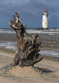 View of driftwood on beach