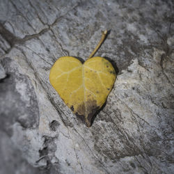 High angle view of heart shape on rock