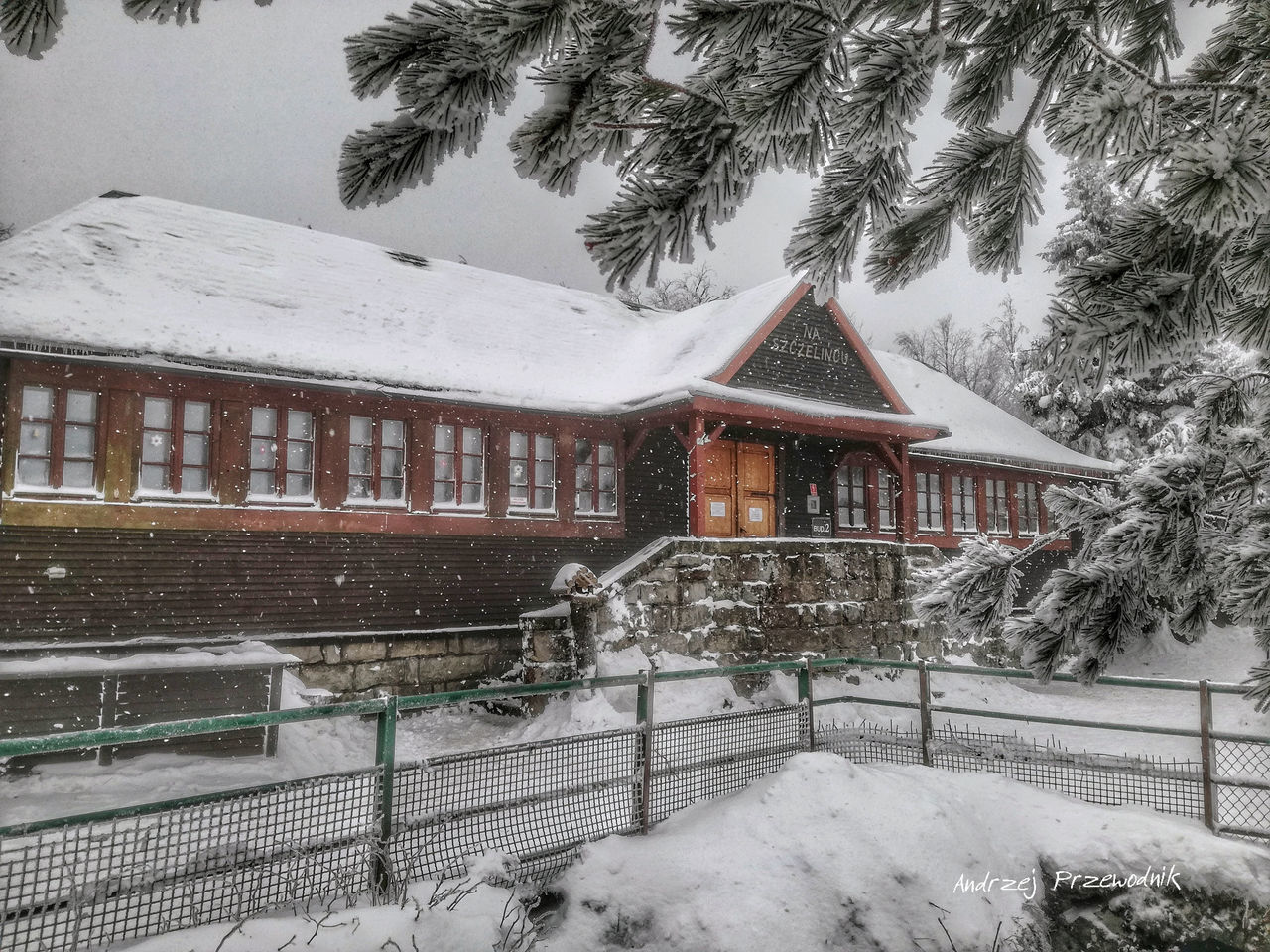 SNOW COVERED HOUSE AGAINST TREES