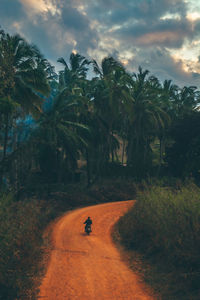 Road amidst trees against sky