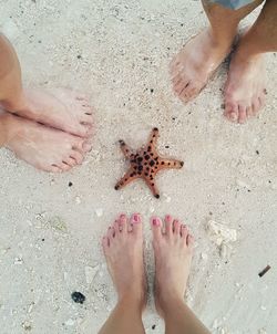 Low section of friends standing on beach