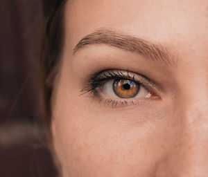 Woman eye, looking into the camera, human vision