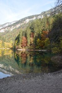 Scenic view of lake by trees against sky