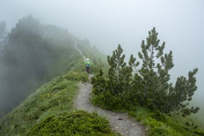 Rear view of man walking on mountain