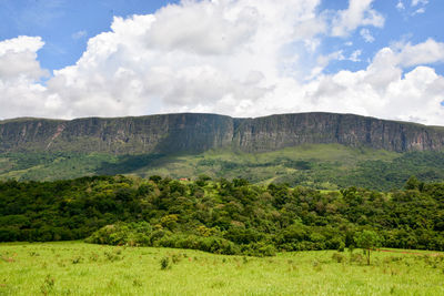 Scenic view of landscape against sky