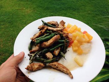 Cropped hand of person holding food in plate