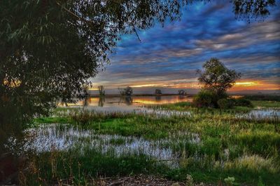 Scenic view of field against sky at sunset