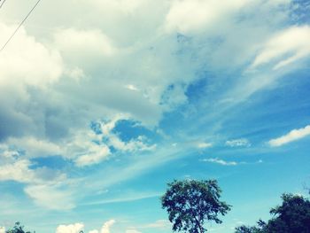 Low angle view of trees against sky