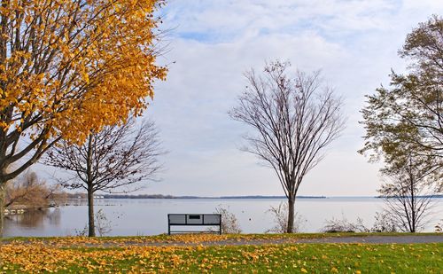 Trees growing on field against sky during autumn