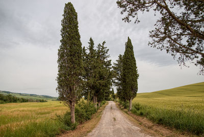 Road amidst trees on field against sky