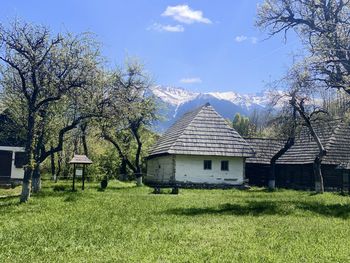 House and trees on field against sky