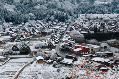 High angle view of tree and buildings in town