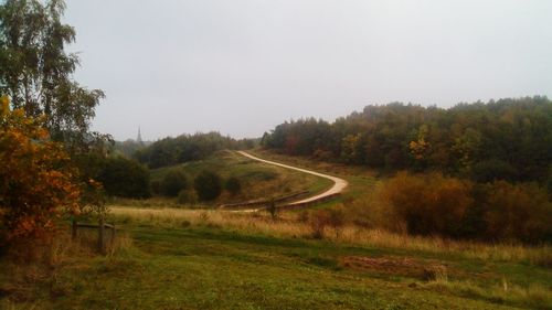 Scenic view of forest against sky