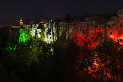 Illuminated trees and buildings against sky at night