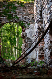 Close-up of stone wall in forest