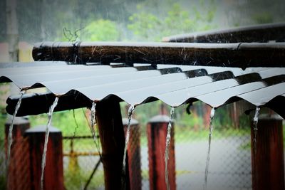 Close-up of clothes drying against blurred background