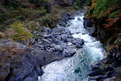 River flowing through rocks in forest