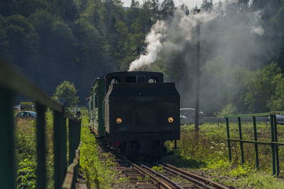 Train on railroad track amidst trees