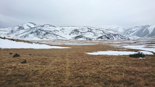 Scenic view of landscape against sky