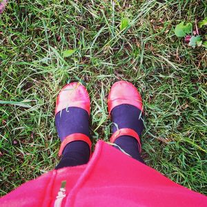 Low section of woman standing on grass