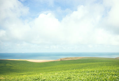 Scenic view of sea against sky