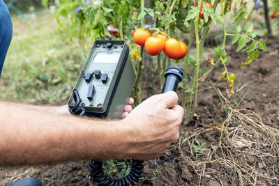 Measurement of natural radioactivity concentration levels in vegetables after nuclear accident