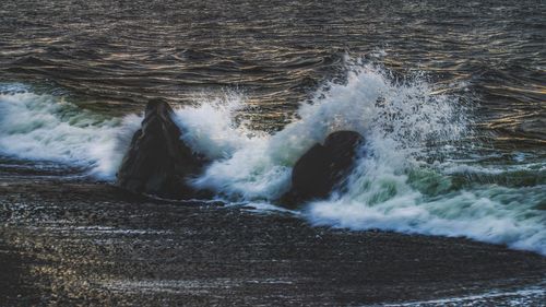 Waves splashing in sea